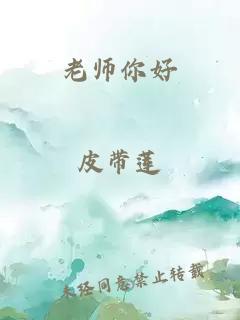 老师你好