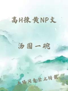 高H辣黄NP文