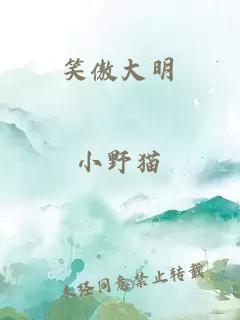 笑傲大明