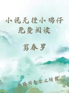 小说无挫小鸡仔免费阅读