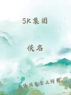 SK集团