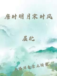 唐时明月宋时风