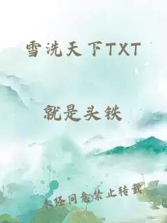 雪洗天下TXT