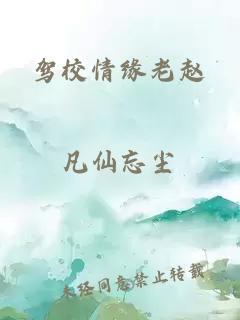 驾校情缘老赵