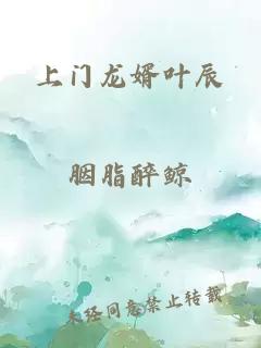 上门龙婿叶辰