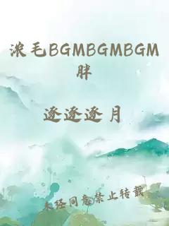 浓毛BGMBGMBGM胖