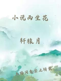 小说两生花