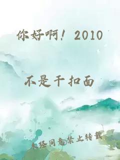 你好啊！2010