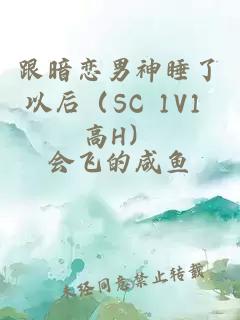 跟暗恋男神睡了以后（SC 1V1 高H）